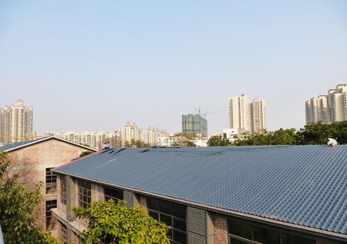 环保屋面建材助力三农政策 绿色创新引领乡村建筑升级